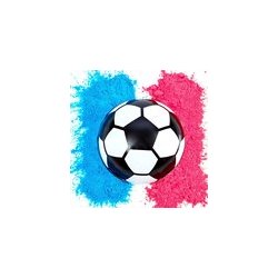 Soccer Ball gender reveal